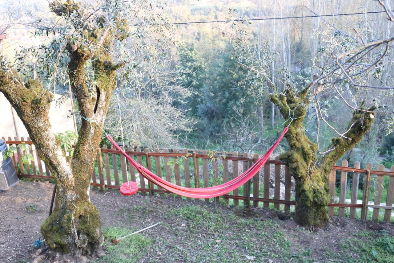 Palheiro Do Malgas Bed & Breakfast Lousa  Luaran gambar